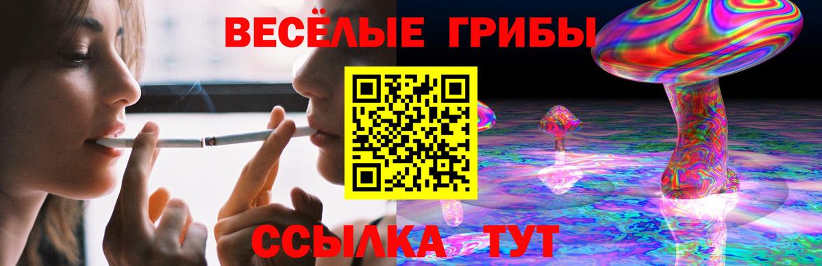 Псилоцибиновые грибы GOLDEN TEACHER  Галлюциногенные грибы Psilocybe  где можно купить наркотик  Сегежа  Вход с VPN 