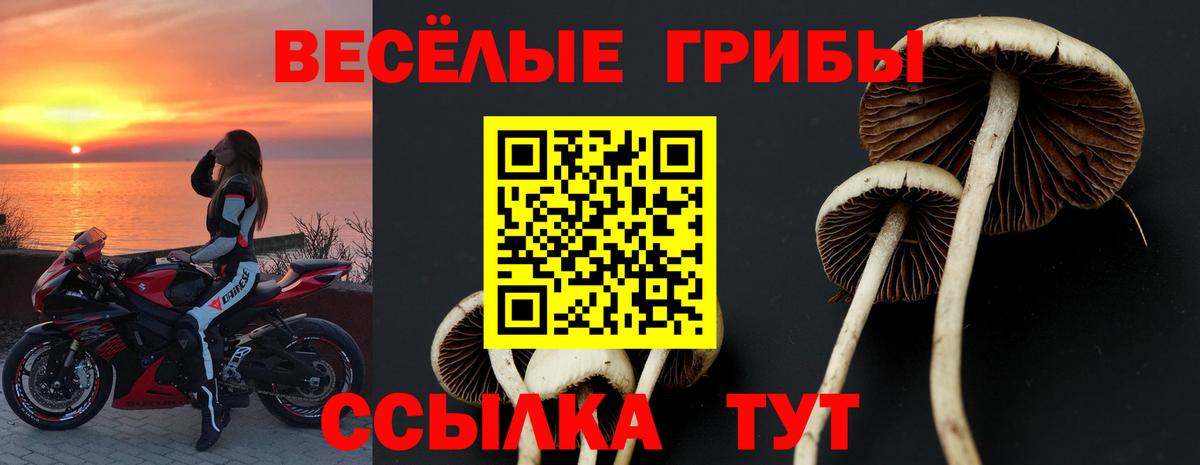 Псилоцибиновые грибы Cubensis Сегежа